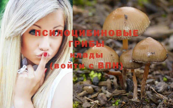 прущая мука Богородск