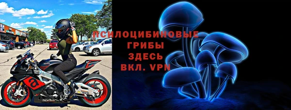 спайс Богородицк